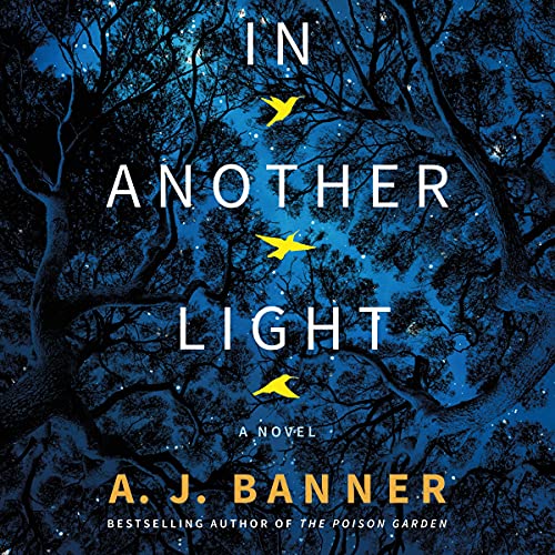 In Another Light Audiolibro Por A. J. Banner arte de portada