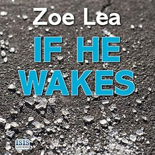 If He Wakes Audiolibro Por Zoe Lea arte de portada