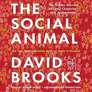 The Social Animal cover art