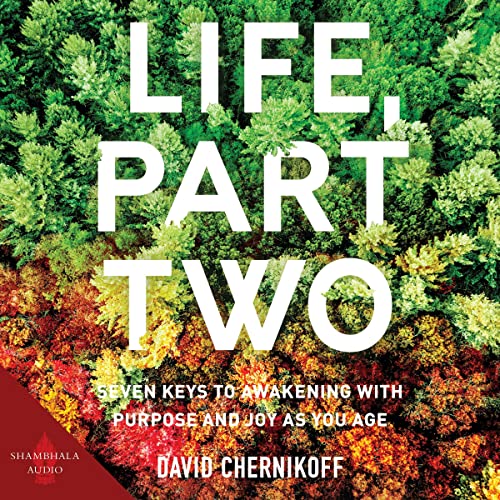 Life, Part Two Audiolibro Por David Chernikoff arte de portada