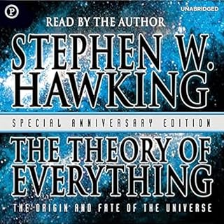 The Theory of Everything Audiobook By Stephen Hawking cover art