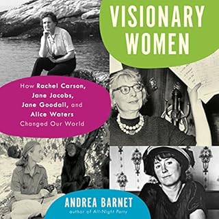 Visionary Women Audiolibro Por Andrea Barnet arte de portada