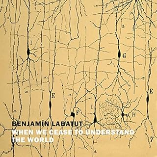 When We Cease to Understand the World Audiolibro Por Benjamin Labatut, Adrian West - translator arte de portada