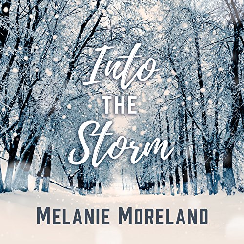 Into the Storm cover art