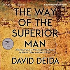 The Way of the Superior Man Audiolibro Por David Deida arte de portada