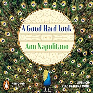 A Good Hard Look Audiolibro Por Ann Napolitano arte de portada