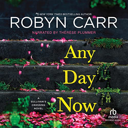 Any Day Now Audiolibro Por Robyn Carr arte de portada