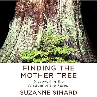 Finding the Mother Tree Audiobook By Suzanne Simard cover art