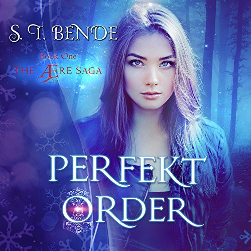 Perfekt Order Audiobook By S.T. Bende cover art