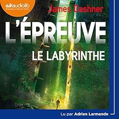 Couverture de Le Labyrinthe