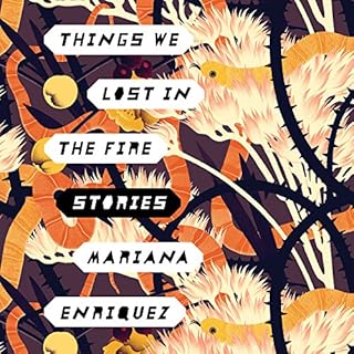 Things We Lost in the Fire Audiolibro Por Mariana Enriquez arte de portada