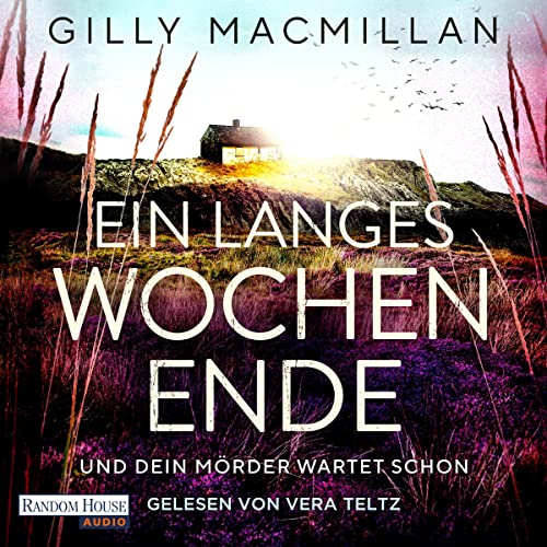 Ein langes Wochenende Audiolivro Por Gilly Macmillan capa