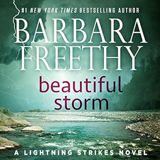 Beautiful Storm Audiolibro Por Barbara Freethy arte de portada