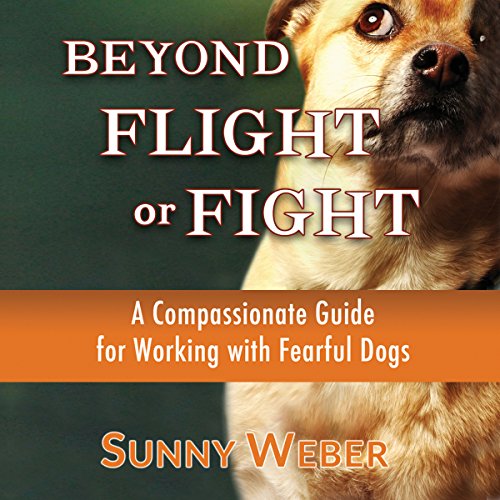 Beyond Flight or Fight Audiolibro Por Sunny Weber arte de portada