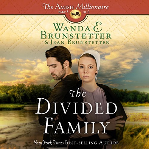 The Divided Family Audiolibro Por Wanda E. Brunstetter, Jean Brunstetter arte de portada