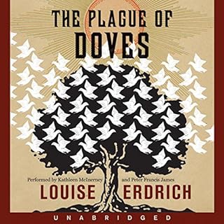 The Plague of Doves Audiolibro Por Louise Erdrich arte de portada