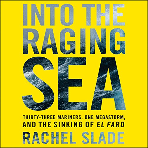 Into the Raging Sea Audiolibro Por Rachel Slade arte de portada