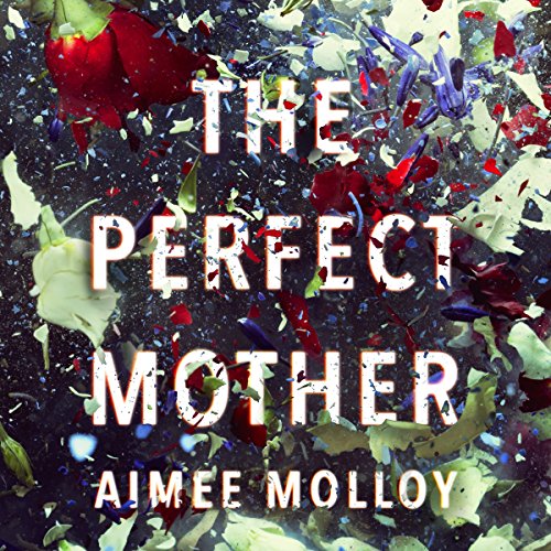 The Perfect Mother Audiolibro Por Aimee Molloy arte de portada