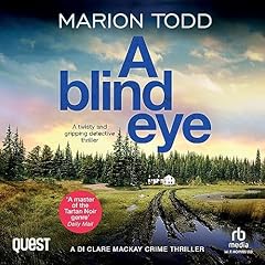 A Blind Eye Audiolibro Por Marion Todd arte de portada