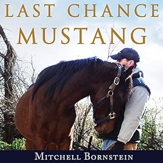 Last Chance Mustang Audiolibro Por Mitchell Bornstein arte de portada