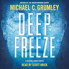 Deep Freeze Audiolibro Por Michael C. Grumley arte de portada