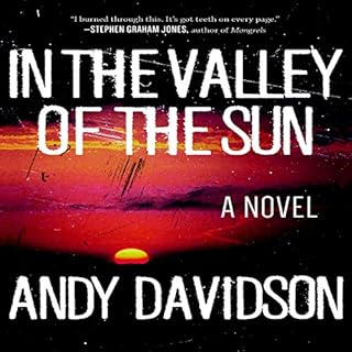 In the Valley of the Sun: A Novel Audiobook By Andy Davidson cover art