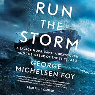 Run the Storm Audiolibro Por George Michelsen Foy arte de portada