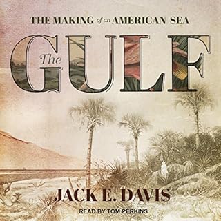 The Gulf Audiolibro Por Jack E. Davis arte de portada