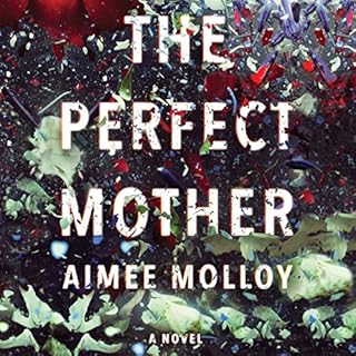 The Perfect Mother Audiolibro Por Aimee Molloy arte de portada