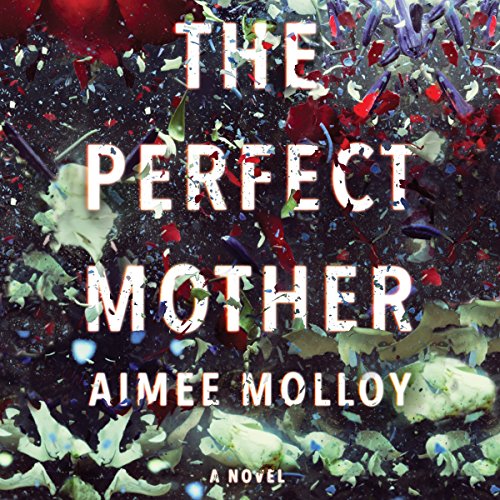 The Perfect Mother Audiolibro Por Aimee Molloy arte de portada