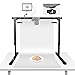 NEEWER Overhead Camera Mount Rig for Top Down Shot with 1s Quick Switch Lock Arca Type QR Plate, Heavy Duty Tabletop Multi Device Stand for Cooking Drawing Crafts Stream, Desk Width≥32"/80cm, ST200