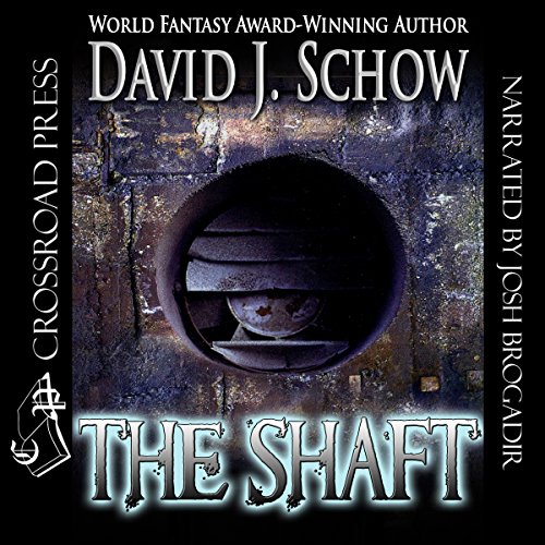 Couverture de The Shaft