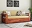 REKHA ART AND CRAFT Wood Sofa Cum Bed for Home | Wooden Sofa Cums Bed for Living Room | Without Pillow with Cushions |...