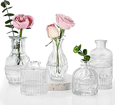 Fixwal Set of 5 Glass Bud Vases, Small Vase for Flowers for Wedding Home Table Decorations, Clear Flower Vases for Centerpiec
