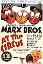 Groucho Marx, Eve Arden, Chico Marx, and Harpo Marx in At the Circus (1939)