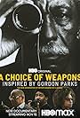 A Choice of Weapons: Inspired by Gordon Parks