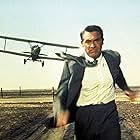 Cary Grant in North by Northwest (1959)