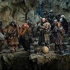 Ian McKellen, Richard Armitage, Jed Brophy, John Callen, Martin Freeman, Mark Hadlow, Peter Hambleton, William Kircher, Graham McTavish, James Nesbitt, Dean O'Gorman, Ken Stott, Stephen Hunter, Aidan Turner, and Adam Brown in The Hobbit: An Unexpected Journey (2012)