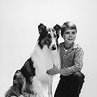 Jon Provost, Lassie the Dog, and Lassie in Lassie (1954)