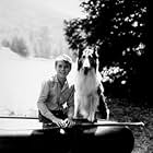 "Lassie" Jon Provost & Lassie C. 1961 CBS