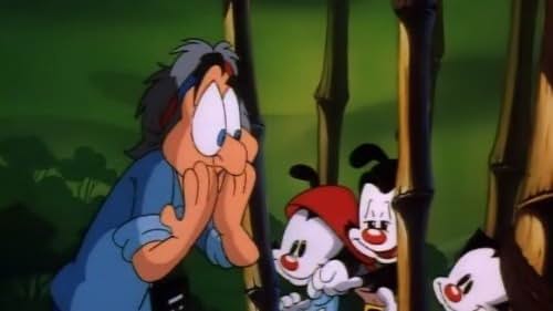 Jeff Bennett, Jess Harnell, Tress MacNeille, and Rob Paulsen in Animaniacs (1993)