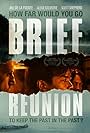 Brief Reunion (2011)