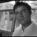 Richard Burton in The Night of the Iguana (1964)