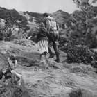 Veronica Cartwright and Fess Parker in Daniel Boone (1964)