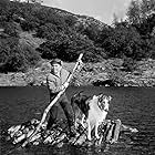 Jon Provost, Lassie the Dog, and Lassie in Lassie (1954)