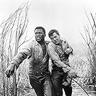 Tony Curtis and Sidney Poitier in The Defiant Ones (1958)