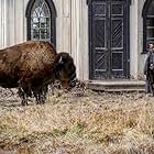 Meeting up with Stan the buffalo on Dead Again in Tombstone.