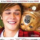 A Dog's Purpose (2017)