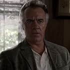 Tony Sirico in The Sopranos (1999)