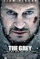 The Grey